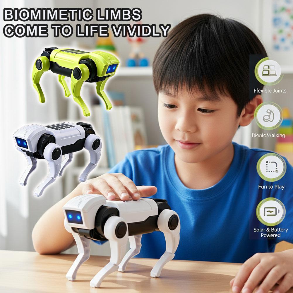Science Diy Model - DIY Montaj RC Robot Köpek Oyuncak