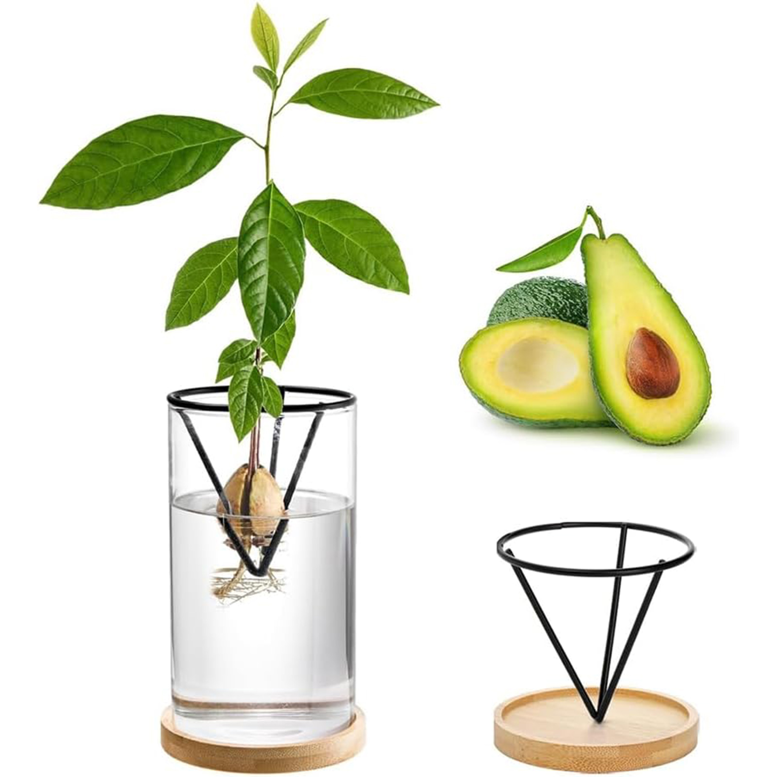 1 takım avokado ağacı yetiştir - Crystal Growing Kit incelemesi ve fiyatı