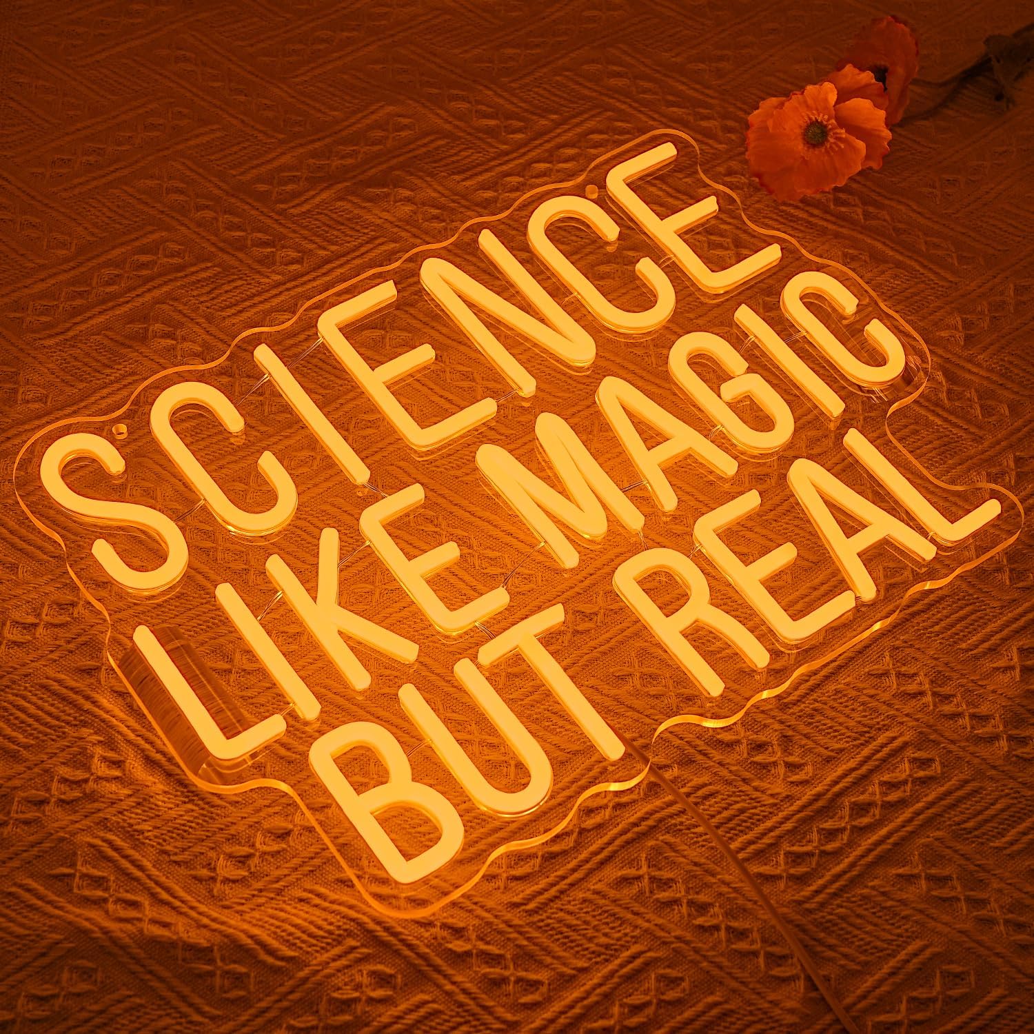 Sihir Gibi Ama Gerçek Neon Tab - Science Hobbyist incelemesi ve fiyatı