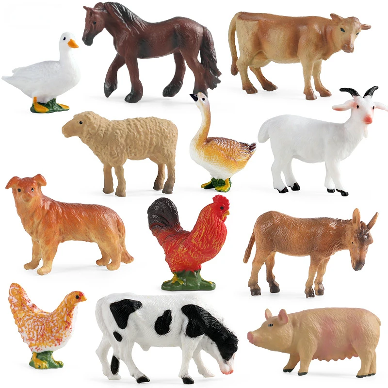 Eğitim Öğretim Aracı Kümes Hay - Science Toy incelemesi ve fiyatı